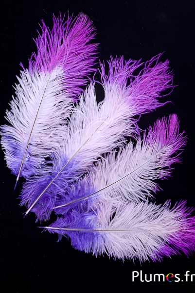 Autruche - 30-40 cm - lilas-rose-fuchsia